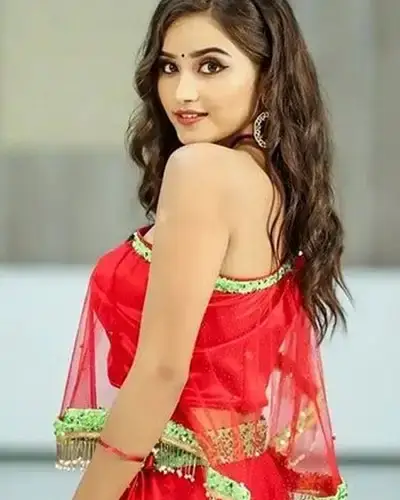 Call Girls Service Badnawar
